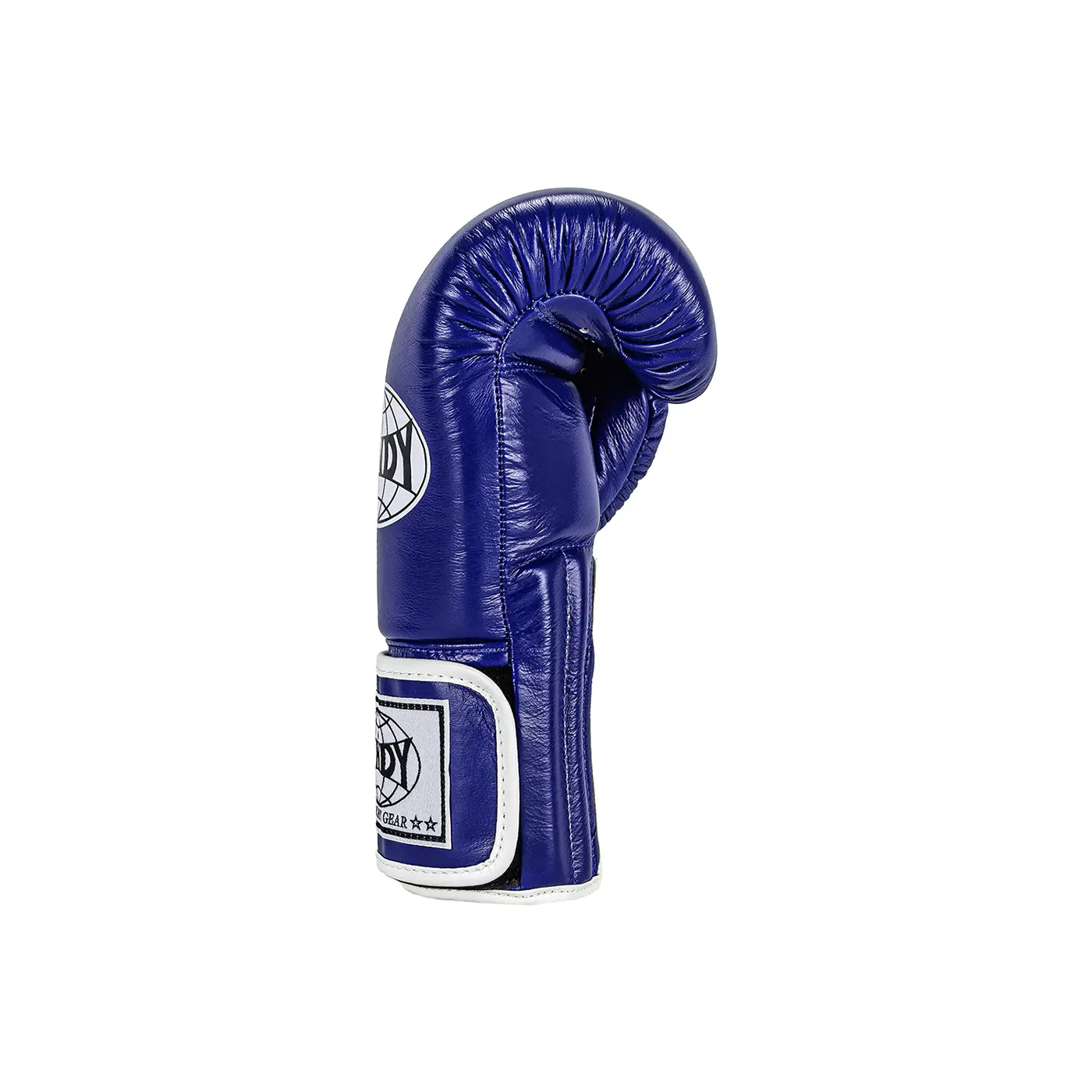 Windy Gants de Muay Thai Bleus Droite