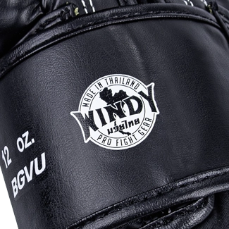 Windy Gants de Boxe D’Entraînement Authentique