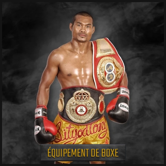 ÉQUIPEMENT DE BOXE WINDY