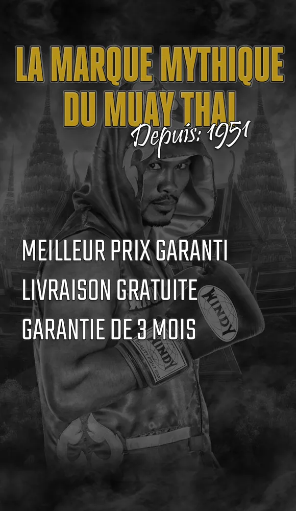 En-tête mobile Windy