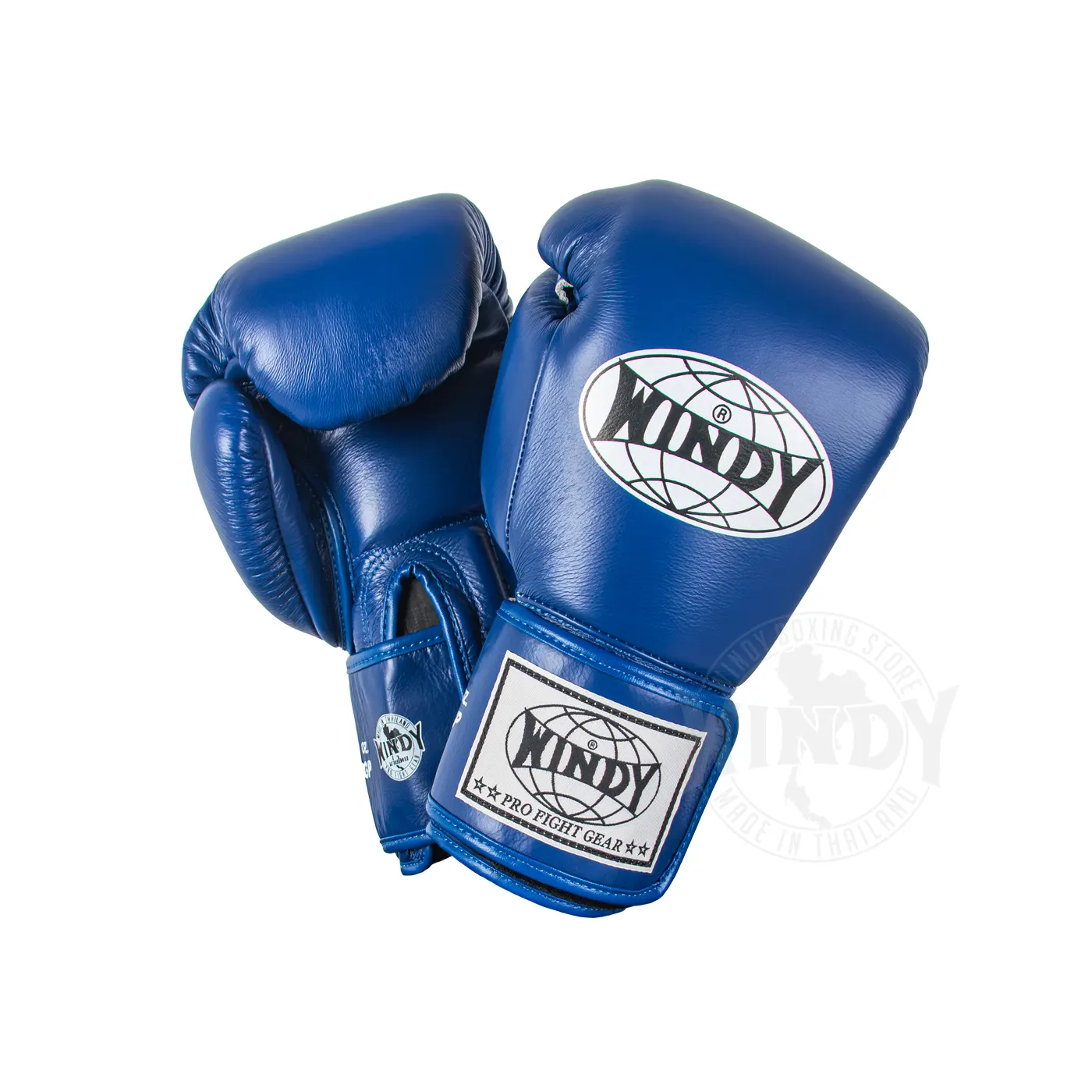 Windy Gants de Muay Thai Bleus